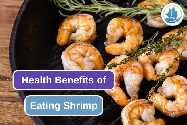 6 Reasons Why Eating Shrimp Is Good For Your Health